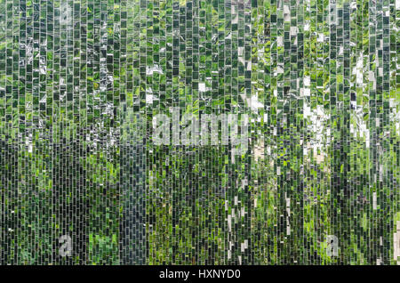 Résumé fond arbre vert reflètent en miroir Banque D'Images