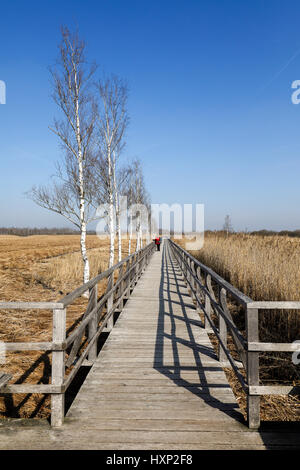 Les ornithologues amateurs sur un trottoir de bois à l'Allemagne, Federsee Banque D'Images