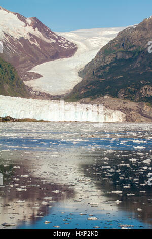 Chili - Amalia Glacier sur le bord du canal Sarmiento - Glacier Skua - Parc National Bernardo O'Higgins Banque D'Images