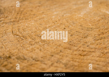 Extreme close up of wood les anneaux de croissance des arbres coupés Banque D'Images