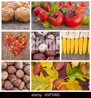 Collage avec des motifs d'automne Banque D'Images