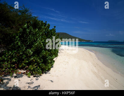 Belle plage, réseau, Grenadines, Caraïbes Banque D'Images