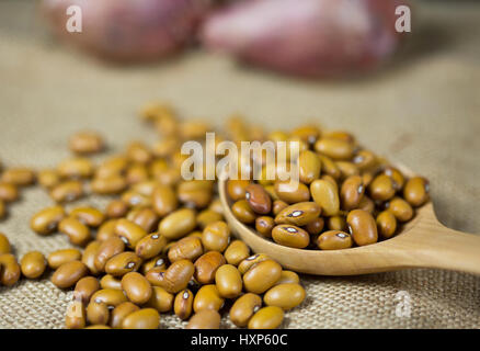 Brown beans dans une cuillère en bois avec l'Échalote de flou artistique en arrière-plan Banque D'Images