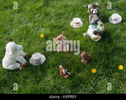 Un animal en peluche tea party Banque D'Images