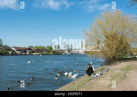 Chez les canards et cygnes femme sur Riverside, Walton-on-Thames, Surrey, Angleterre, Royaume-Uni Banque D'Images