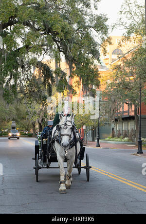 Un cheval tirant un chariot à travers le quartier historique de Savannah, Géorgie. Banque D'Images