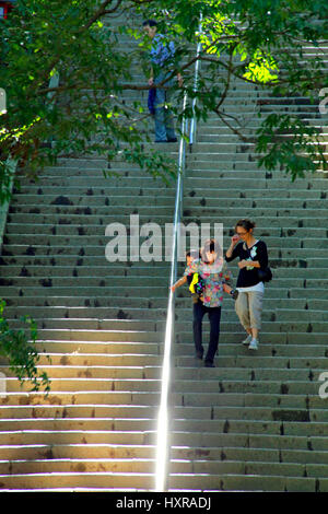 Mont Takao Otokozaka Temple Yakuoin escalier à Hachioji Tokyo Japon Banque D'Images