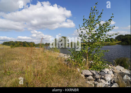 Réserve naturelle de Borghorster Meadows dans la vieille infirmière étroite, Hambourg, Allemagne, Europe, Naturschutzgebiet Borghorster Wiesen à Altengamme, Deutschland, Banque D'Images