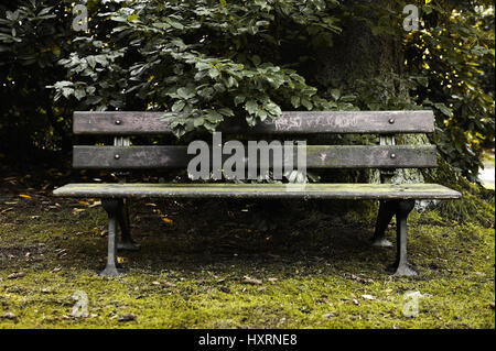 Vieux banc de parc sur le cimetière Ohlsdorfer à Hambourg, Allemagne, Alte Parkbank auf dem Ohlsdorfer Friedhof Hamburg, Deutschland Banque D'Images