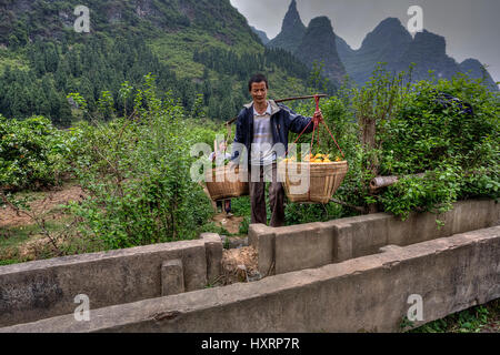 Yangshuo, Guangxi, Chine - le 29 mars 2010 : Chinese man paysan transport marchandises panier en osier avec récolte de fruits fraîchement cueillis oranges balan Banque D'Images