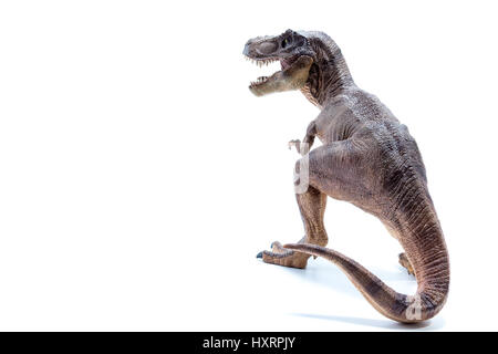 Dinosaure Tyrannosaurus Rex Brown Vue de côté - Fond blanc Banque D'Images