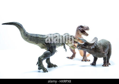 Deux Tyrannosaurus Rex dinosaure Triceratops une attaque - Fond blanc Banque D'Images