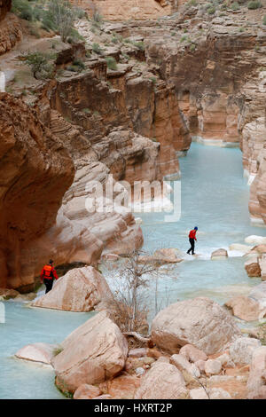 Les randonneurs de Havasu Creek, le Parc National du Grand Canyon, Arizona, United States. Banque D'Images