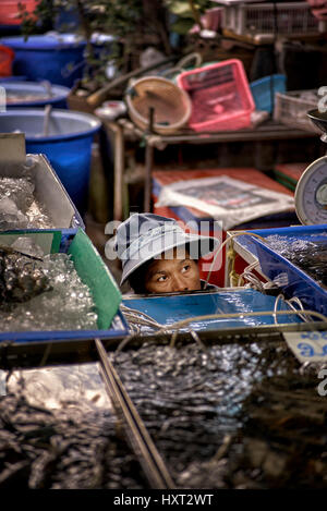 Une négocieuse de marché thaïlandaise peeking de son stalle et gardant un oeil vigilant sur les choses. Thaïlande personnes Asie du Sud-est Banque D'Images