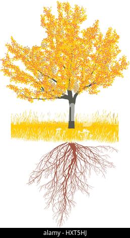 Cerisiers en automne avec des racines Illustration de Vecteur