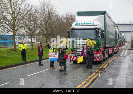 Appleton, Warrington, Royaume-Uni. 30 mars, 2017. Un petit groupe d'activistes de l'environnement a procédé à une 'pop up' protester et marcha lentement Eddie Stobart transport routier de camions hors de leur siège social à Appleton Thorn près de Warrington. Les manifestants anti-fracking protestent à propos de Eddie Stobart camions d'Eddie Stobart Logistics fournit des produits à la cuadrilla de gaz de schiste la fracturation hydraulique d'exploration site actuellement en construction près de Blackpool. Crédit : Dave Ellison/Alamy Live News Banque D'Images