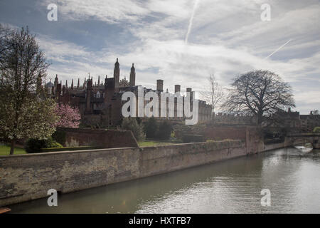 Cambridge, UK. 30 mars 2017. Clare College, l'un des plus anciens collèges de l'Université de Cambridge a fermé au public après les touristes ont été pris à entrer dans les chambres des étudiants. Clare College ne peut plus faire face au grand nombre de touristes augmenter de manière imprévue, et a fermé son parc au public pour la première fois de son près de 700 ans d'histoire. Le deuxième plus ancien de l'université College offre un des plus beaux itinéraires pour la ville ainsi que ses jardins. Credit : WansfordPhoto/Alamy Live News Banque D'Images