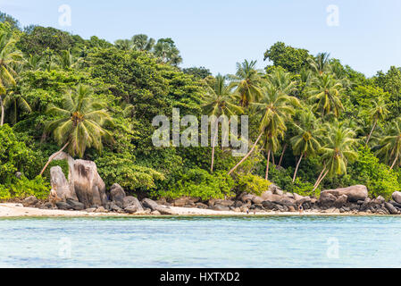 Anse Royale, l'île de Mahé, Seychelles - Décembre 15,2015 : Seychelles paradise, une plage de Mahé avec du sable blanc, mer turquoise et cocotiers. Certains p Banque D'Images