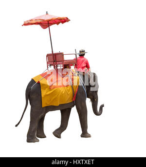 Pour les touristes l'éléphant ride tour de l'ancienne ville d'Ayutthaya en Thaïlande. isolé sur fond blanc avec clipping path Banque D'Images