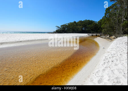 La plage pittoresque de pastille verte, une plage de sable blanc à Jervis bay, parc national Booderee, New South Wales, NSW, Australie Banque D'Images