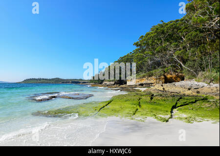 Extrémité sud de Murray's Beach, parc national Booderee, Jervis Bay, New South Wales, NSW, Australie Banque D'Images