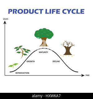 Cycle de vie du produit sur fond blanc Banque D'Images