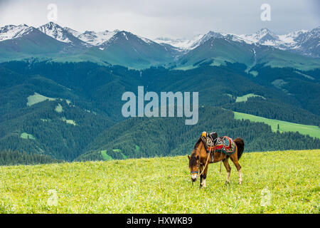 Kalajun,Comté de Tekes prairie au Xinjiang, Chine Banque D'Images