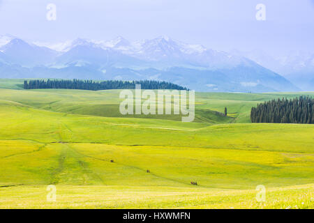 Kalajun,Comté de Tekes prairie au Xinjiang, Chine Banque D'Images