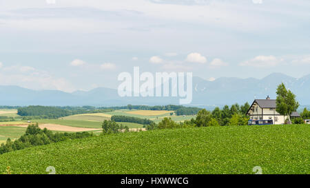 Paysage de campagne dans la préfecture de Hokkaido au Japon biei Banque D'Images