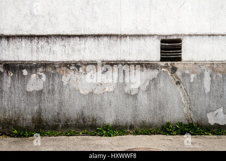 Mur de plâtre blanc avec de l'herbe verte Banque D'Images