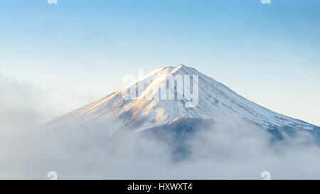 Close up le mont Fuji dans la matinée à kawaguchiko japon Banque D'Images