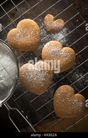 Gingerbread cookies coeur fraîchement faite après qu'ils ont été saupoudrés de sucre glace sur une plaque de cuisson Banque D'Images