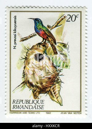 GOMEL, BÉLARUS, 27 mars 2017, de timbres en Rwanda montre image de la N.preussi kikuyuensis, vers 1982. Banque D'Images