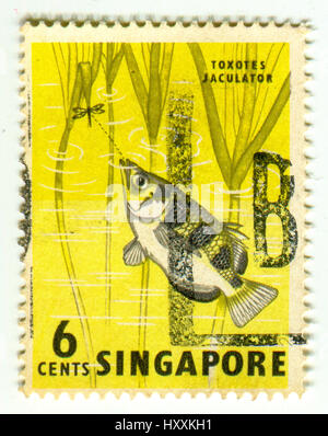 GOMEL, BÉLARUS, 30 mars 2017, de timbres en Singapour montre image du Toxotes Jaculator, vers 1962. Banque D'Images