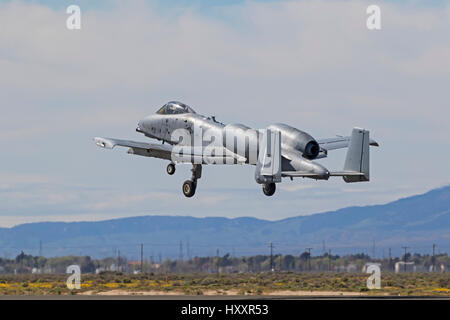 Avion A-10 Thunderbolt et Wharthog P-38 Lightning Heritage vol à Los Angeles Air Show Banque D'Images