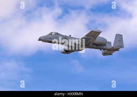 Avion A-10 Thunderbolt et Wharthog P-38 Lightning Heritage vol à Los Angeles Air Show Banque D'Images