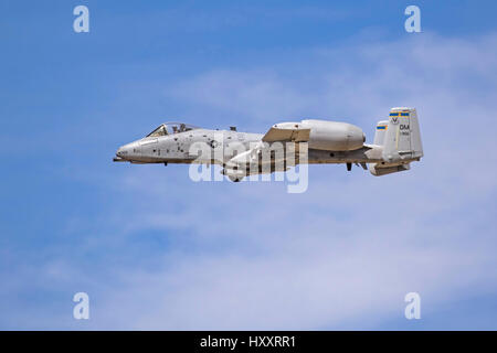 Avion A-10 Thunderbolt et Wharthog P-38 Lightning Heritage vol à Los Angeles Air Show Banque D'Images