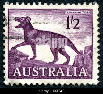 L'AUSTRALIE - circa 1961 : un timbre-poste utilisé à partir de l'Australie, qui représente une illustration de la Tasmanian Tiger maintenant disparu, vers 1961. Banque D'Images