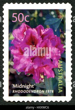 L'AUSTRALIE - circa 2003 : un timbre-poste utilisé à partir de l'Australie, illustrant l'image d'une fleur de Rhododendron, vers 2003. Banque D'Images