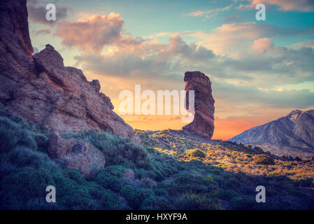 Echium wildpretii .célèbre doigt de Dieu rock dans le parc national du Teide. L'île de Tenerife, Canaries - Espagne Banque D'Images