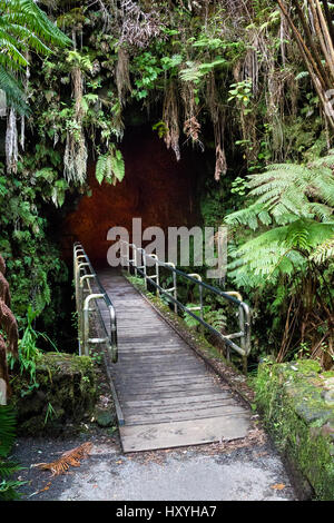 Entrée du tube de lave Thurston dans le Hawaii Volcanoes National Park sur Big Island, Hawaii, USA. Banque D'Images