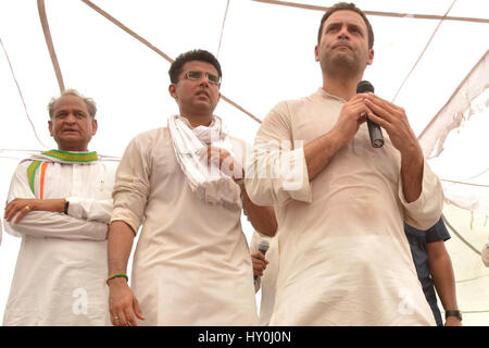 Les membres du parti du congrès national indien, rahul Gandhi, Ashok gehlot et sachin pilot, Inde, Asie Banque D'Images