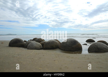 Les Moeraki Boulders sur Koekohe plage sur la côte d'Otago de l'île Sud de la Nouvelle-Zélande. Ils sont une attraction touristique populaire pour les voyageurs en SH1 Banque D'Images