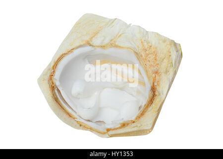 Tranches de chair de noix de coco jeune isolé sur fond blanc avec clipping path Banque D'Images