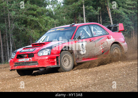 Bramshill Forêt, UK - 3 novembre 2012 : Kevin Rowledge latéralement dans une Subaru Impreza spec WRC sur l'étape de la Warren Tempest dans Bramshil MSA Rally Banque D'Images