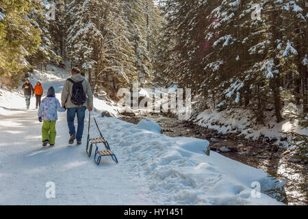 Les touristes dans la vallée Koscieliska près de Zakopane, Pologne Banque D'Images