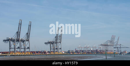 Cranes à Southampton docks, Hampshire, Royaume-Uni Banque D'Images