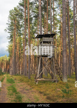 Siège élevé pour la chasse dans une forêt en Allemagne Banque D'Images