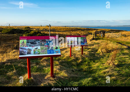 Des panneaux d'information sur la piste de Château Sinclair Girnigoe, Noss Head, près de Wick, Caithness, Ecosse, Royaume-Uni Banque D'Images