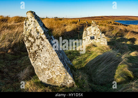 Le Achavanich Mégalithes, près de Cuba, Caithness, Ecosse, Royaume-Uni Banque D'Images